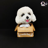 Cute Dog Bobblehead - Adorable Gift TheQuirkyQuest