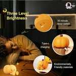 Cute Pumpkin Touch Silicone Lamp (USB rechargeable) TheQuirkyQuest