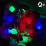 Multi Colour String Light with Red Flower Petals (Set of 2) TheQuirkyQuest