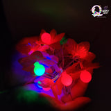 Multi Colour String Light with Red Flower Petals (Set of 2) TheQuirkyQuest